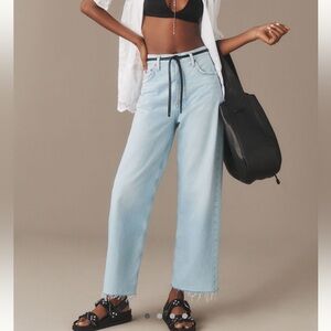 AGOLDE Ren High Rise Crop Wide Leg Jeans